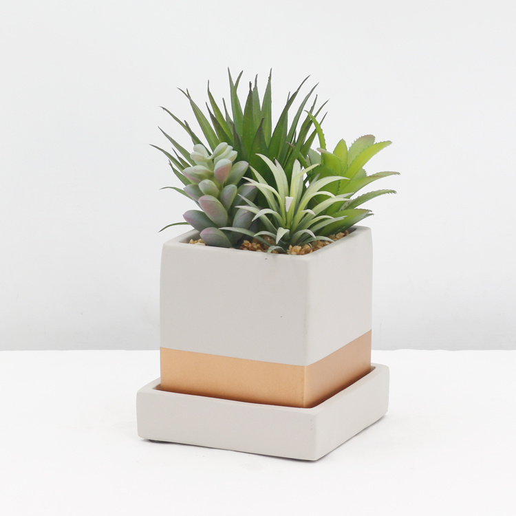 Ornamental-Evergreen-Indoor-Desktop-Decoration-Artificial-Succulent-Small-Succulent-Plant-with-Pot (1).jpg